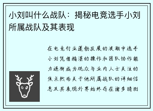 小刘叫什么战队：揭秘电竞选手小刘所属战队及其表现